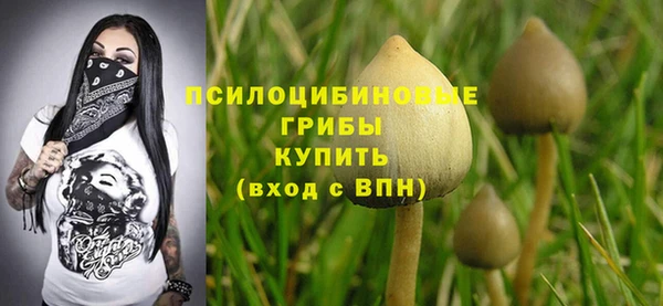 мескалин Алексеевка