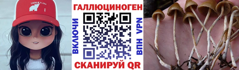 Галлюциногенные грибы Psilocybe  хочу наркоту  Обнинск 